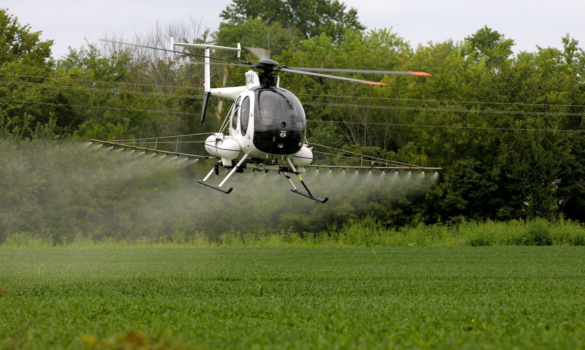 Crop spraying to save fungal spread